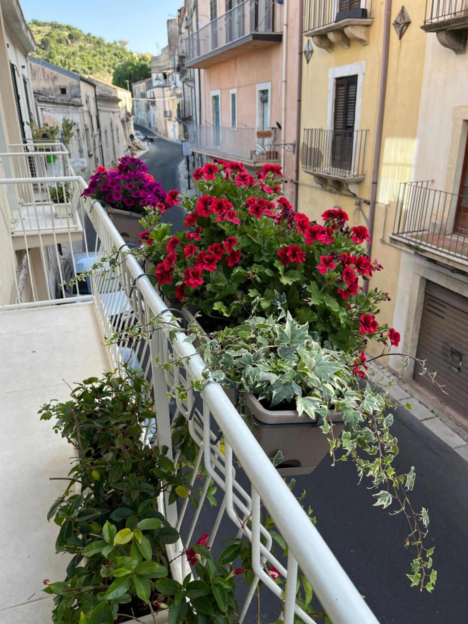 La Casa Di Irene - Suites Con Vista รากูซา ภายนอก รูปภาพ